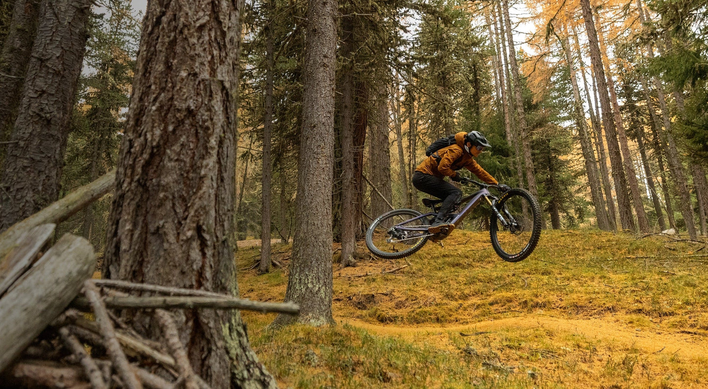 Vélos de Montagne & Fat Bikes